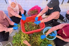 IMG_20260304_092315_271